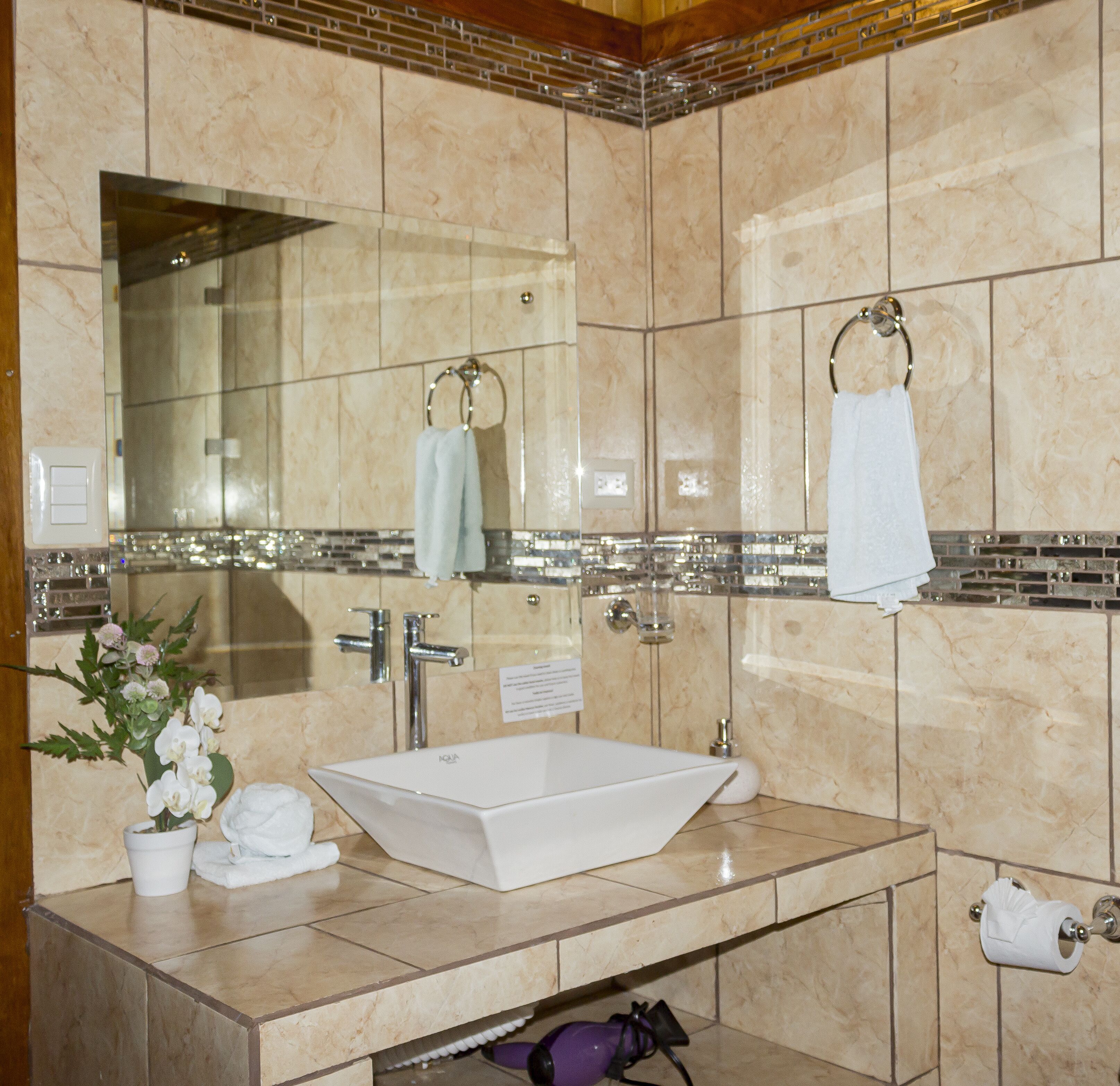 shower, free toiletries, hair dryer, towels