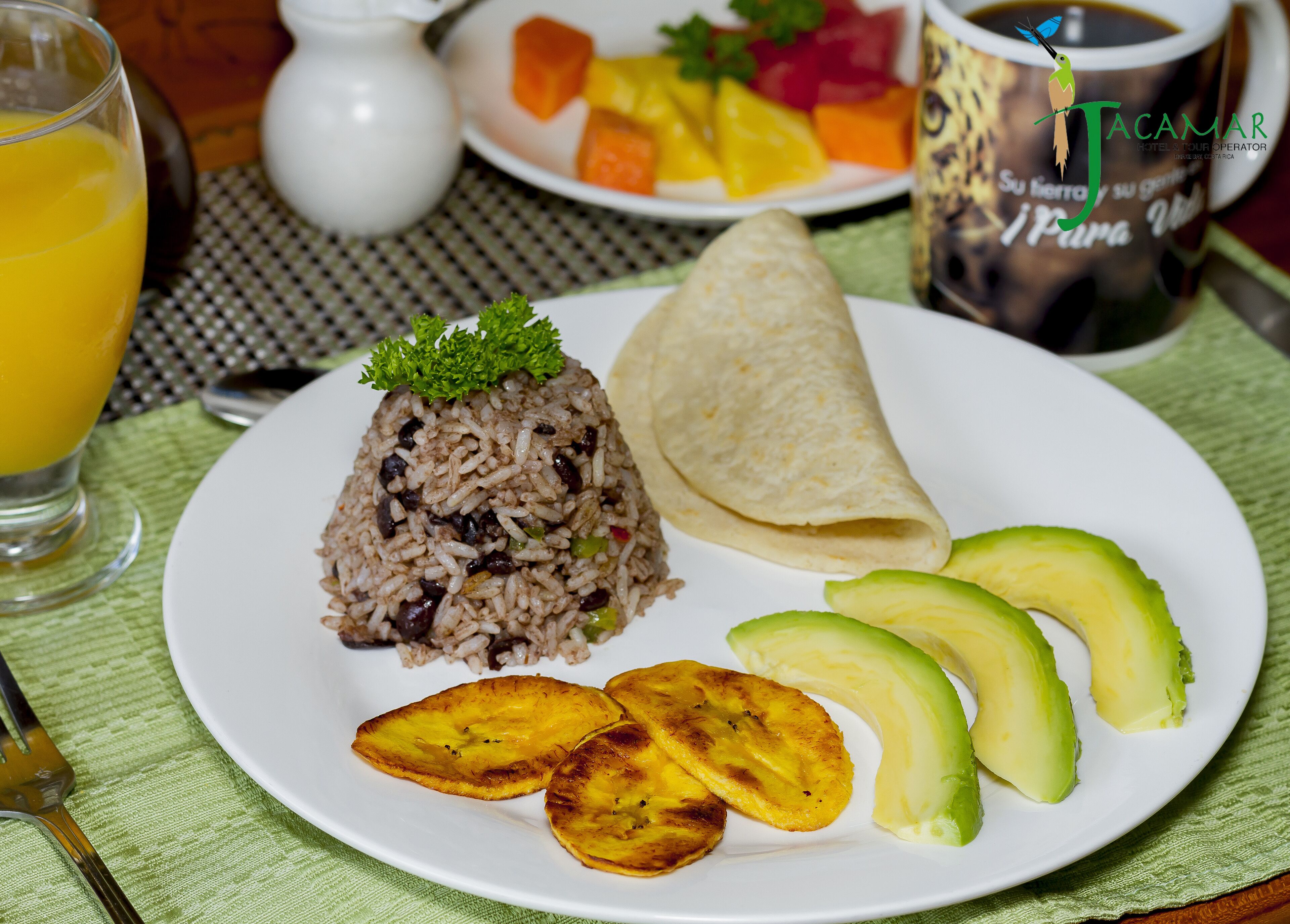 Ein Teller mit Reis, einer Tortilla, Avocadowürfeln und gebratenen Kochbananen.