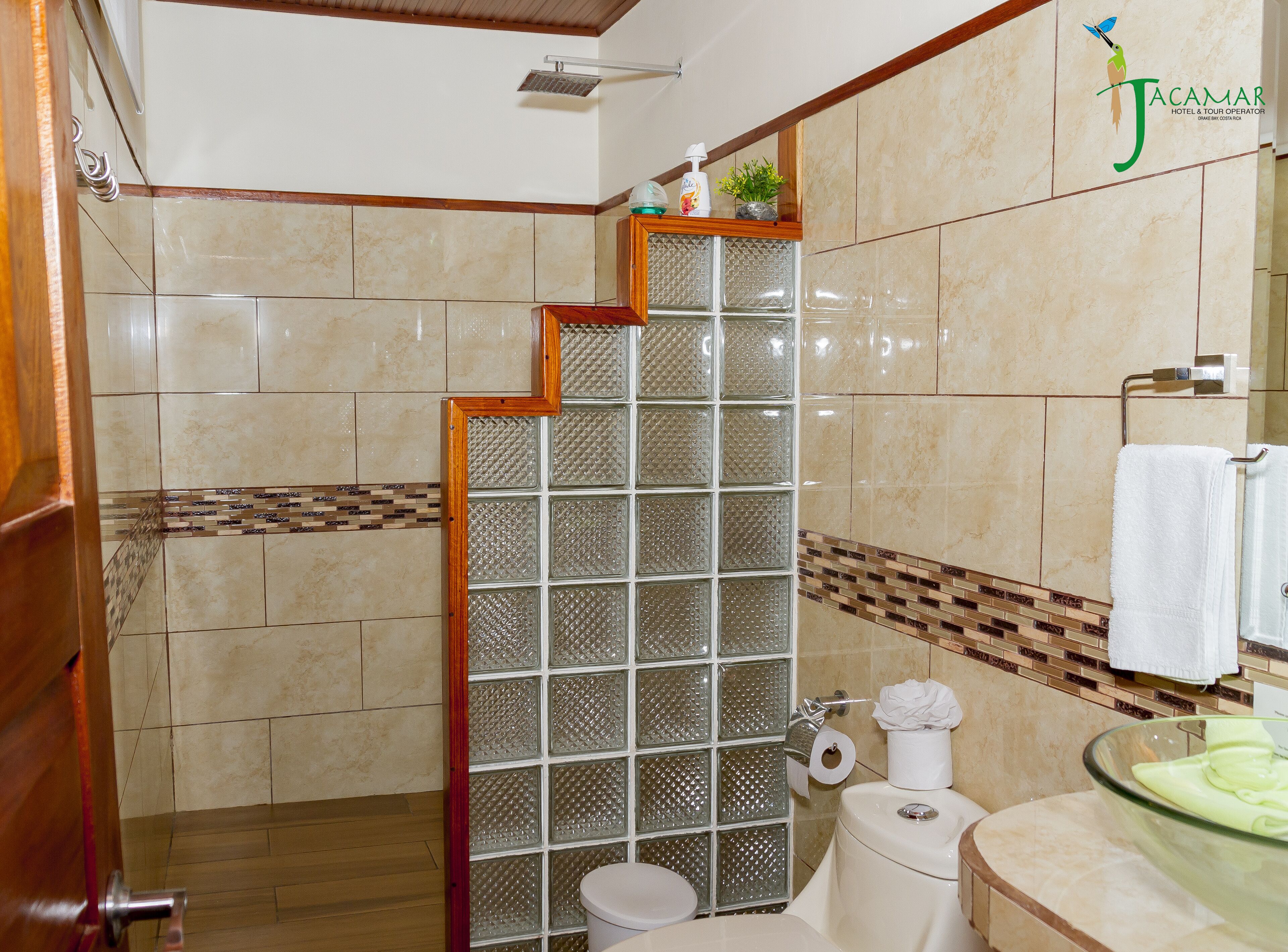 A bathroom with a glass shower enclosure, a toilet, a sink with a glass basin, and a towel rack.