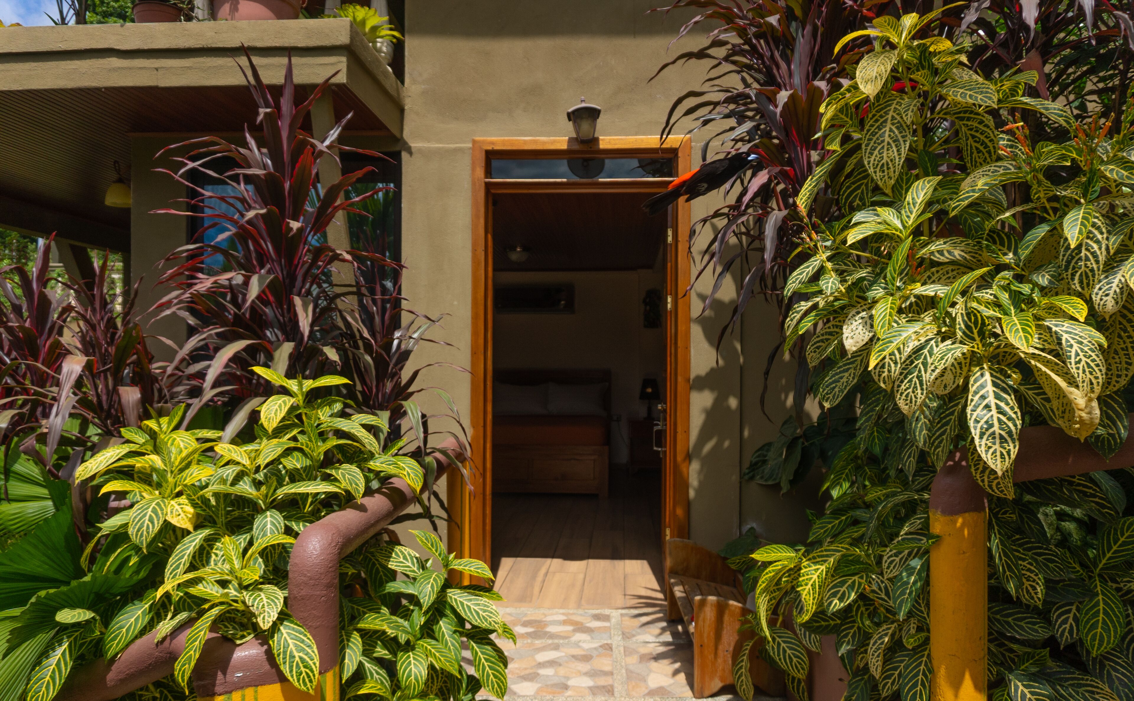 Caja de seguridad en la habitación, wifi gratis y ropa de cama 