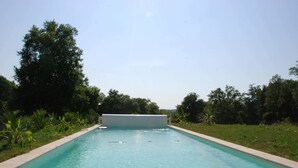 A rectangular swimming pool with a flat, white edge, surrounded by lush greenery and trees.