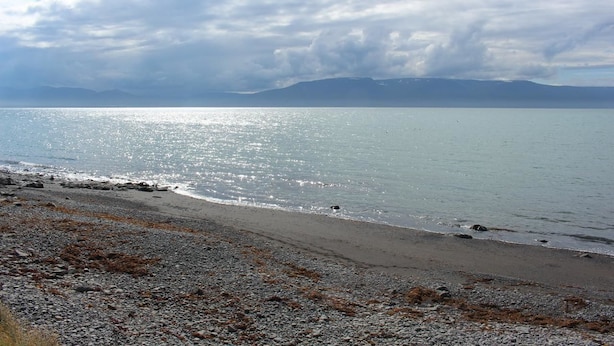 A beach with pebbles and seaweed, calm water, and distant mountains under a cloudy sky.