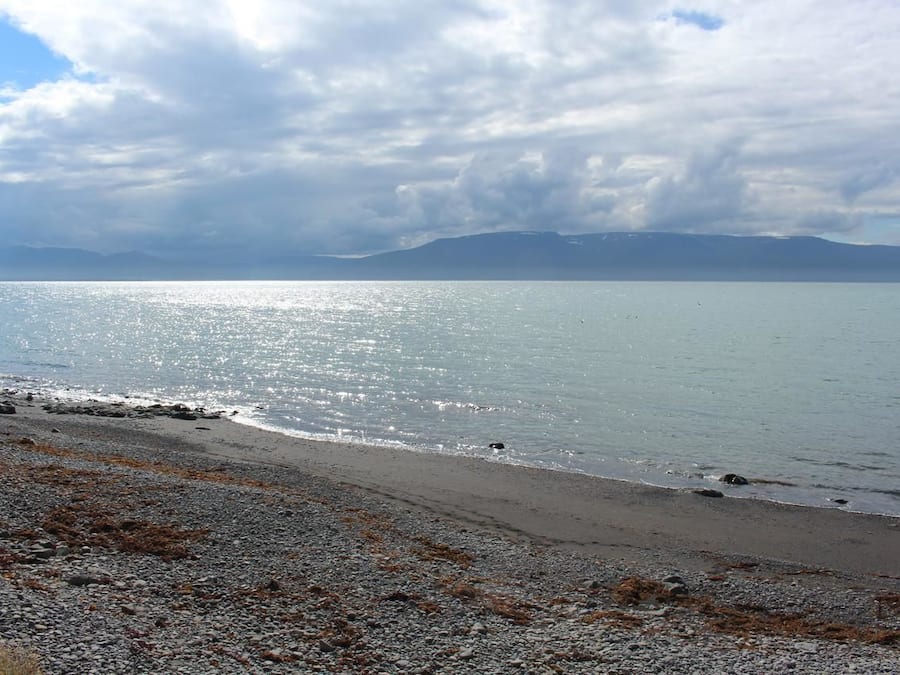 المنطقة المحيطة بالمنشأة