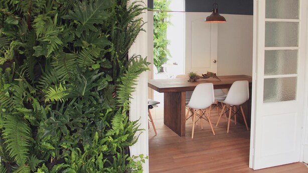 Free daily continental breakfast - Aurora Hostel (Bogotá)