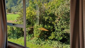 A view through a window with curtains, featuring a lush green landscape with trees and a hill in the background. - Ngakuta Bay, Marlborough Sounds. (Ngakuta Bay)