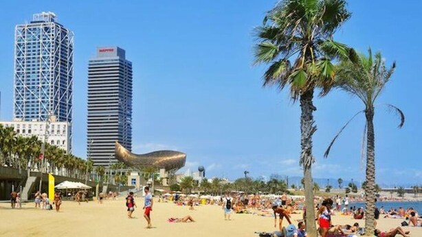 A beach with palm trees and people sunbathing. There are tall buildings in the background. - Duplex of 90m2, 6 persons with terrace of 30m2 (Barcelona)