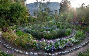 Garden - Willka T'ika Essential Wellness (Urubamba)