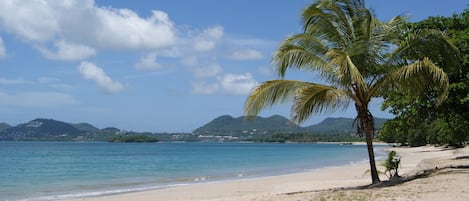 Serviettes de plage