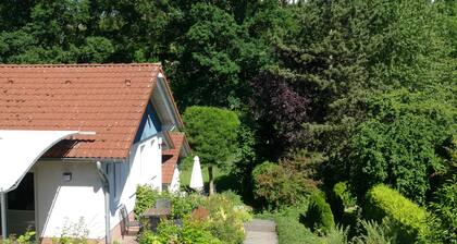 Fabulous holiday with my card plus in the home of the Brothers Grimm