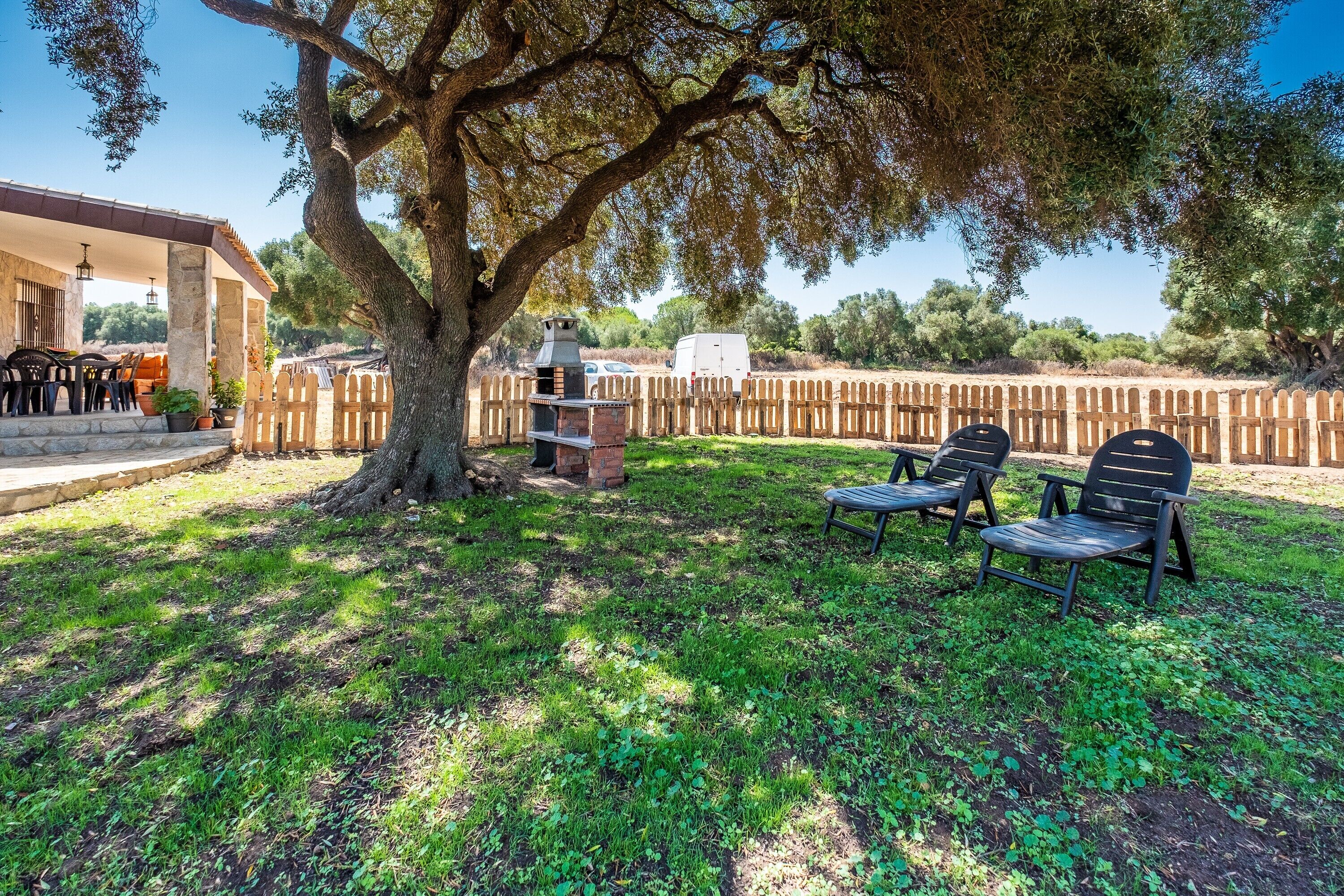 Un espace patio aménagé avec des sièges d’extérieur, un barbecue et un grand arbre qui offre de l’ombre.