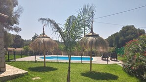 Un jardin avec une piscine, deux palmiers et une clôture.