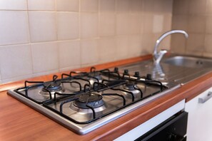 Frigorífic, forn i placa de cuina 