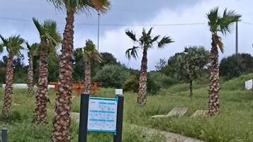 Área da propriedade