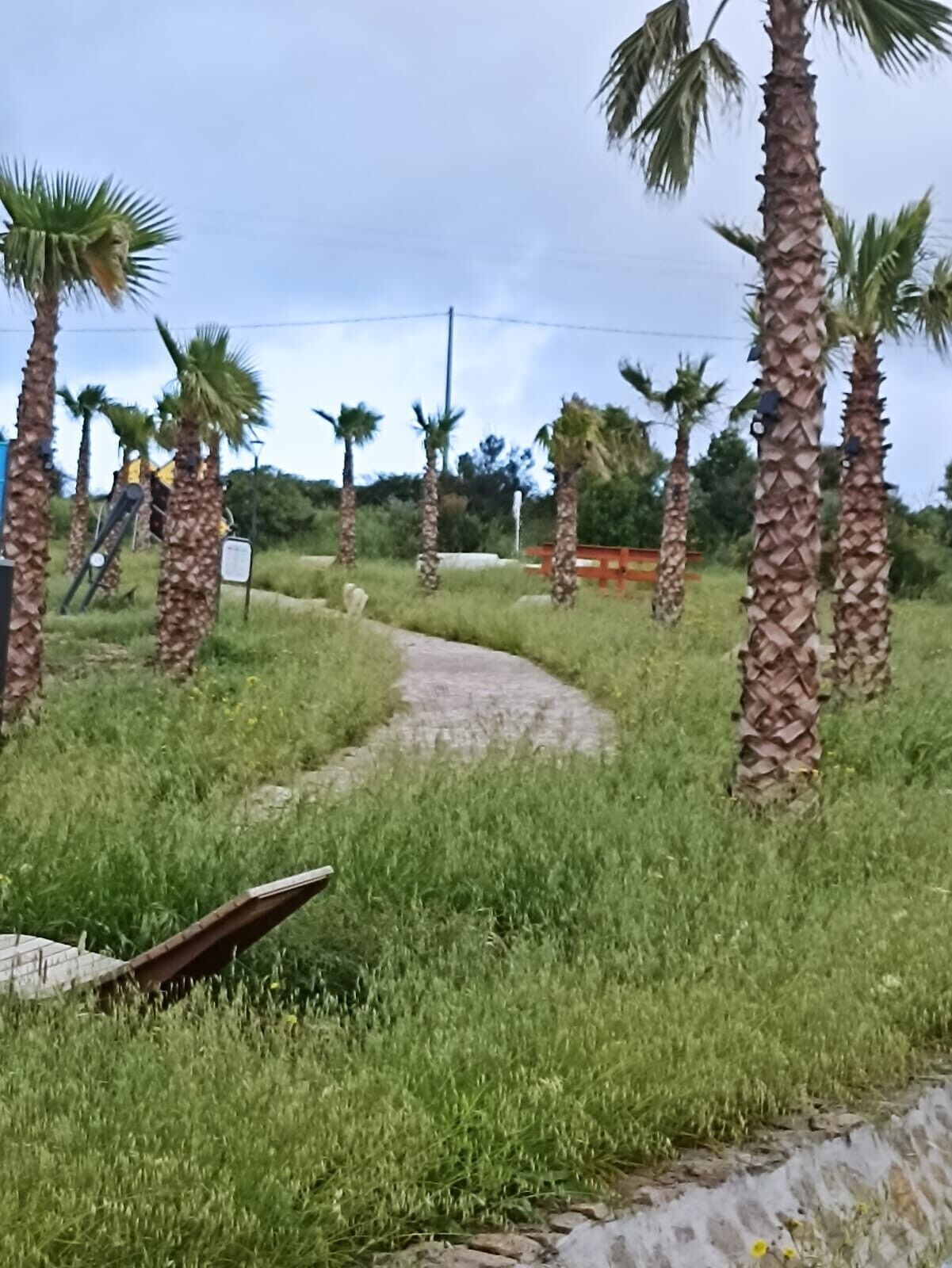 Parco della struttura