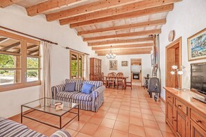 TV, fireplace, video-game console, DVD player