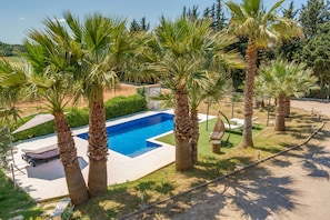 A swimming pool surrounded by palm trees, a lounge area with sun loungers, and a clear sky.