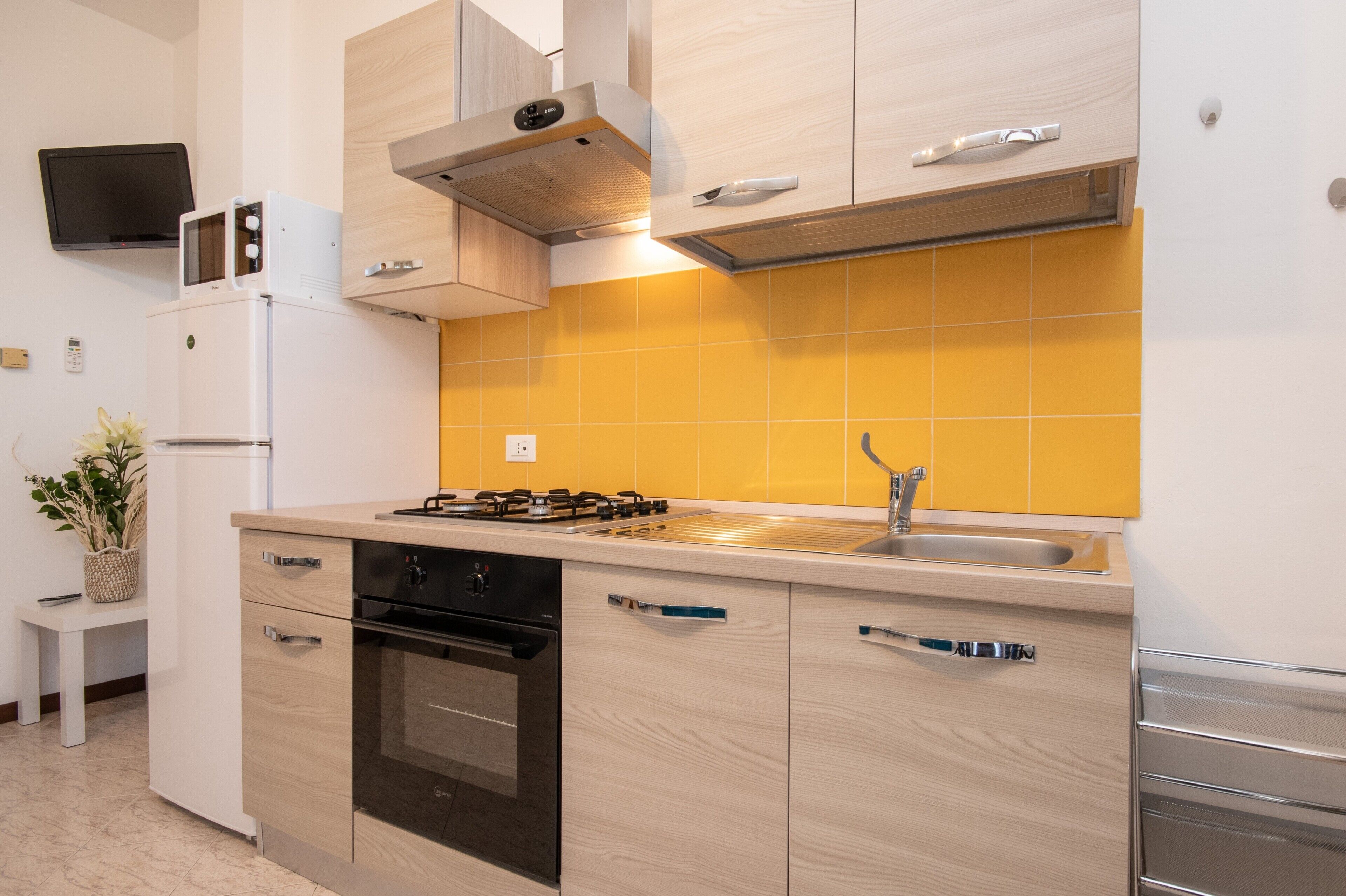 Kühlschrank, Mikrowelle, Ofen, Herdplatte