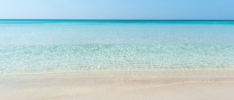Playa en los alrededores