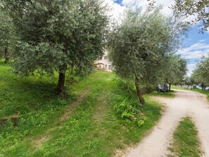 Property grounds - Bright and Modern Holiday Apartment "Casa Silvia" (Albisano)