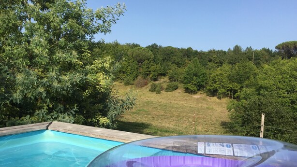 Une piscine dotée d’une terrasse en bois et offrant une vue sur un espace verdoyant planté d’arbres.