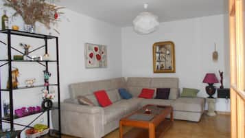 TV, lettore DVD, libri, impianto stereo