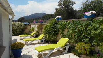 Terras