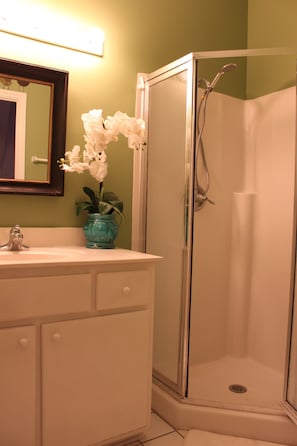 Combined shower/tub, jetted tub, hair dryer, towels