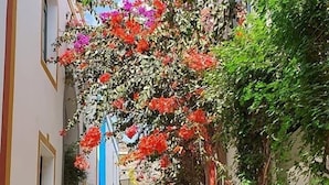 A narrow alleyway with buildings on either side, covered with flowering vines and plants. - Pensi ón Playa Mogán (Mogan)