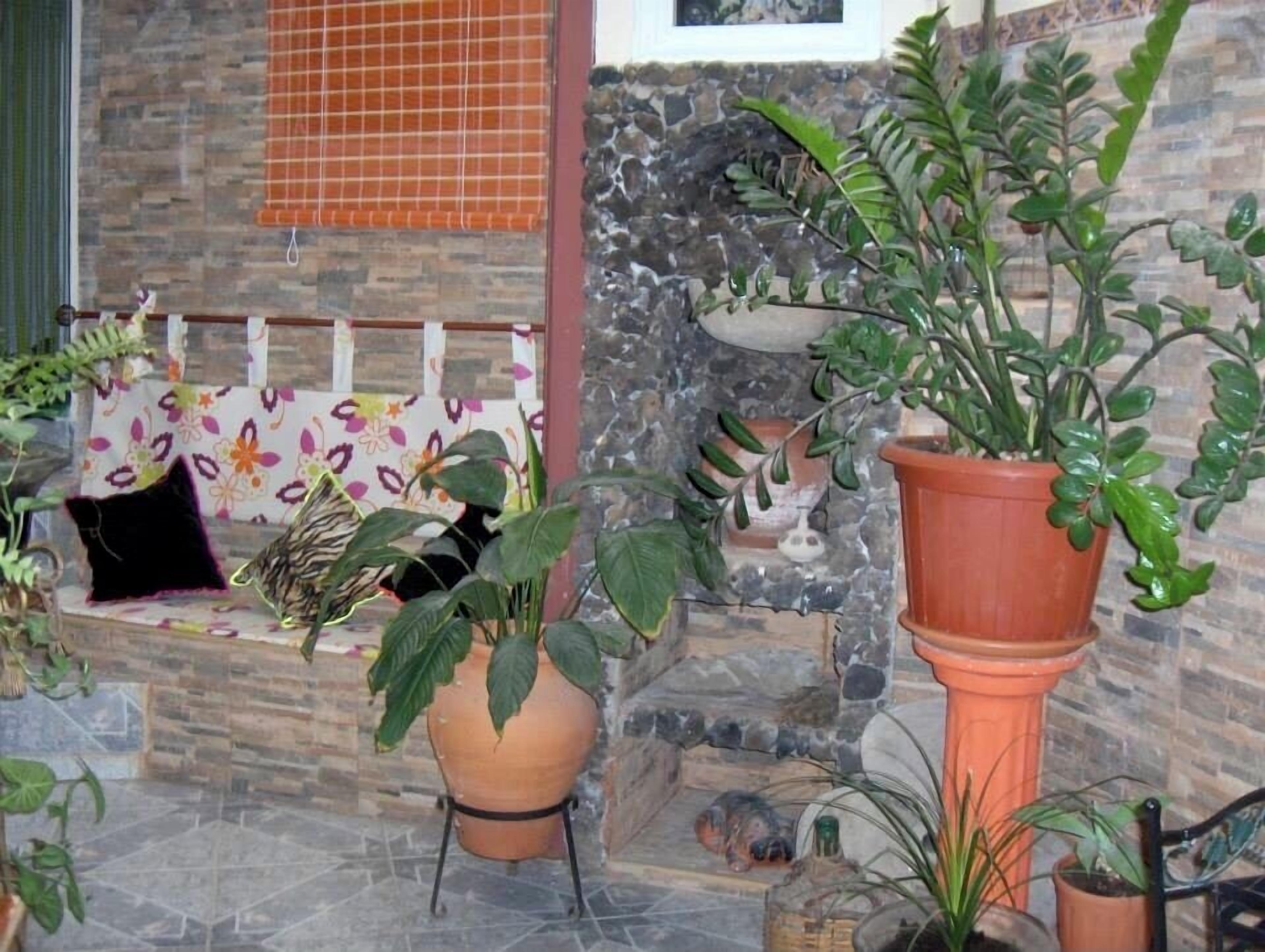 Foto - Pensión Playa