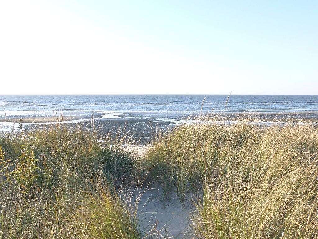 Vlak bij het strand, ligstoelen