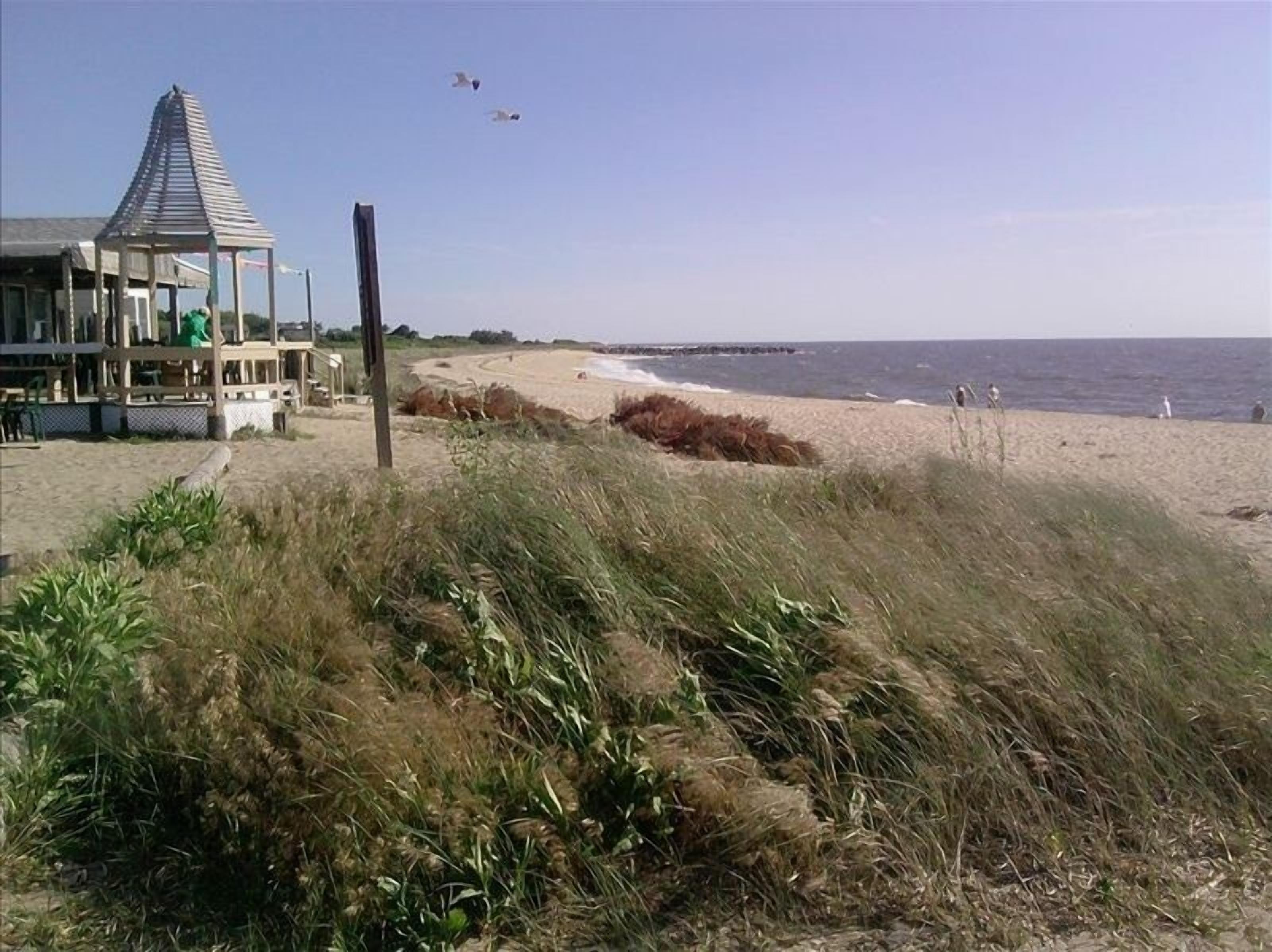 Beach nearby, sun loungers