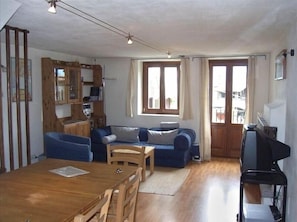 Télévision, cheminée, lecteur de DVD, livres