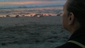 Playa