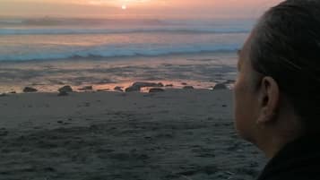Playa en los alrededores