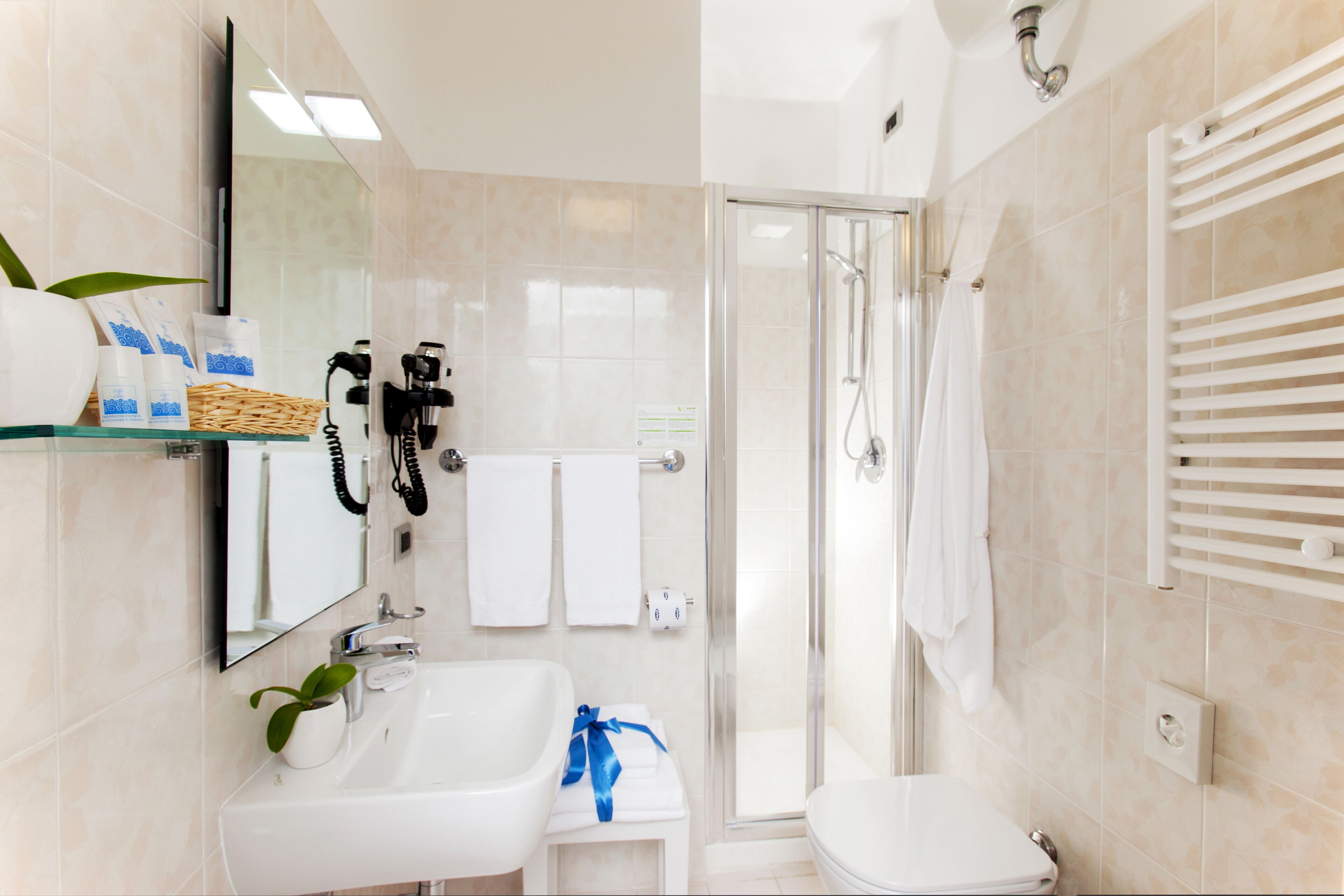 shower, rainfall showerhead, free toiletries, hair dryer