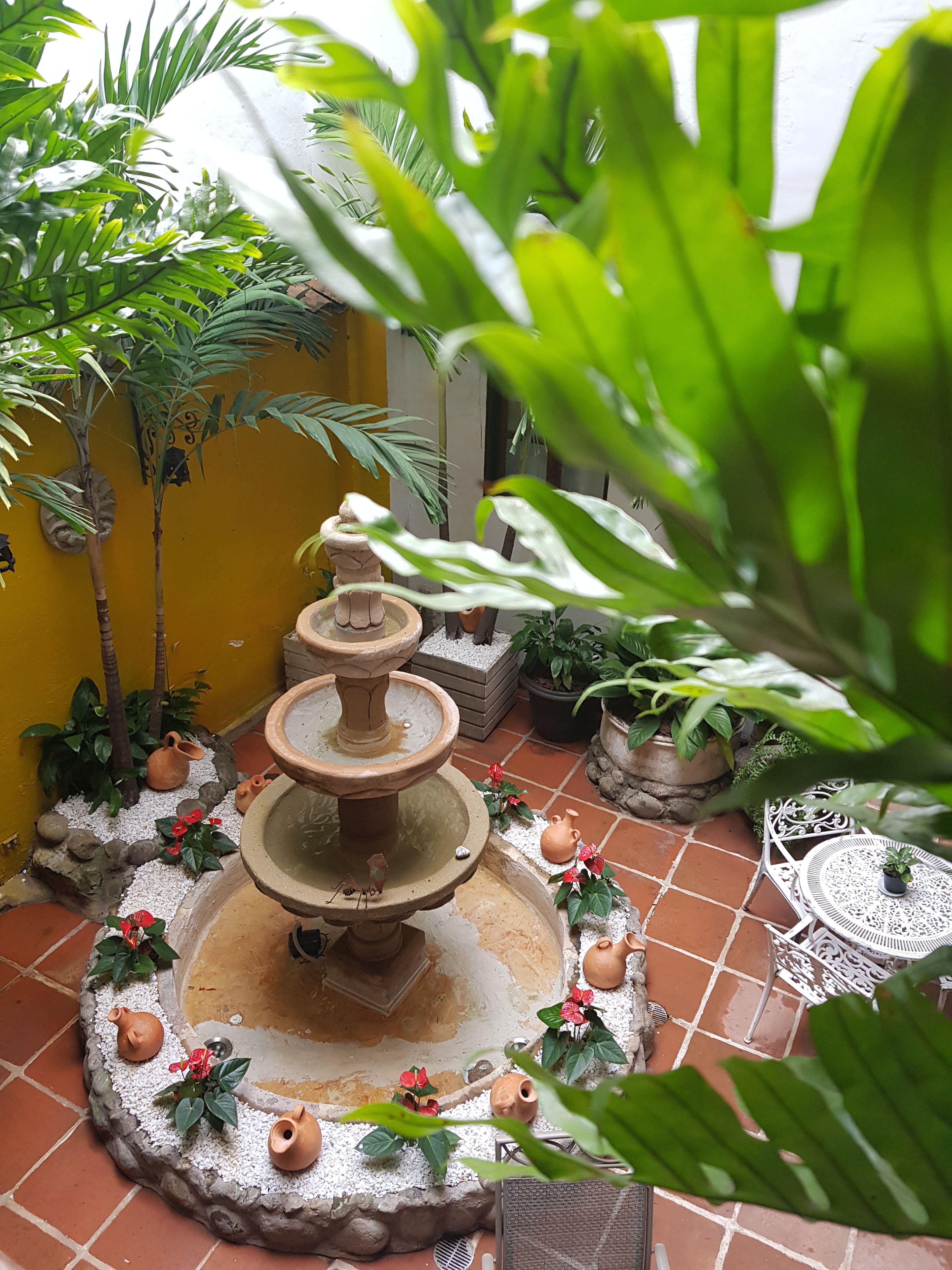 Foto - Hotel Terraza San Antonio