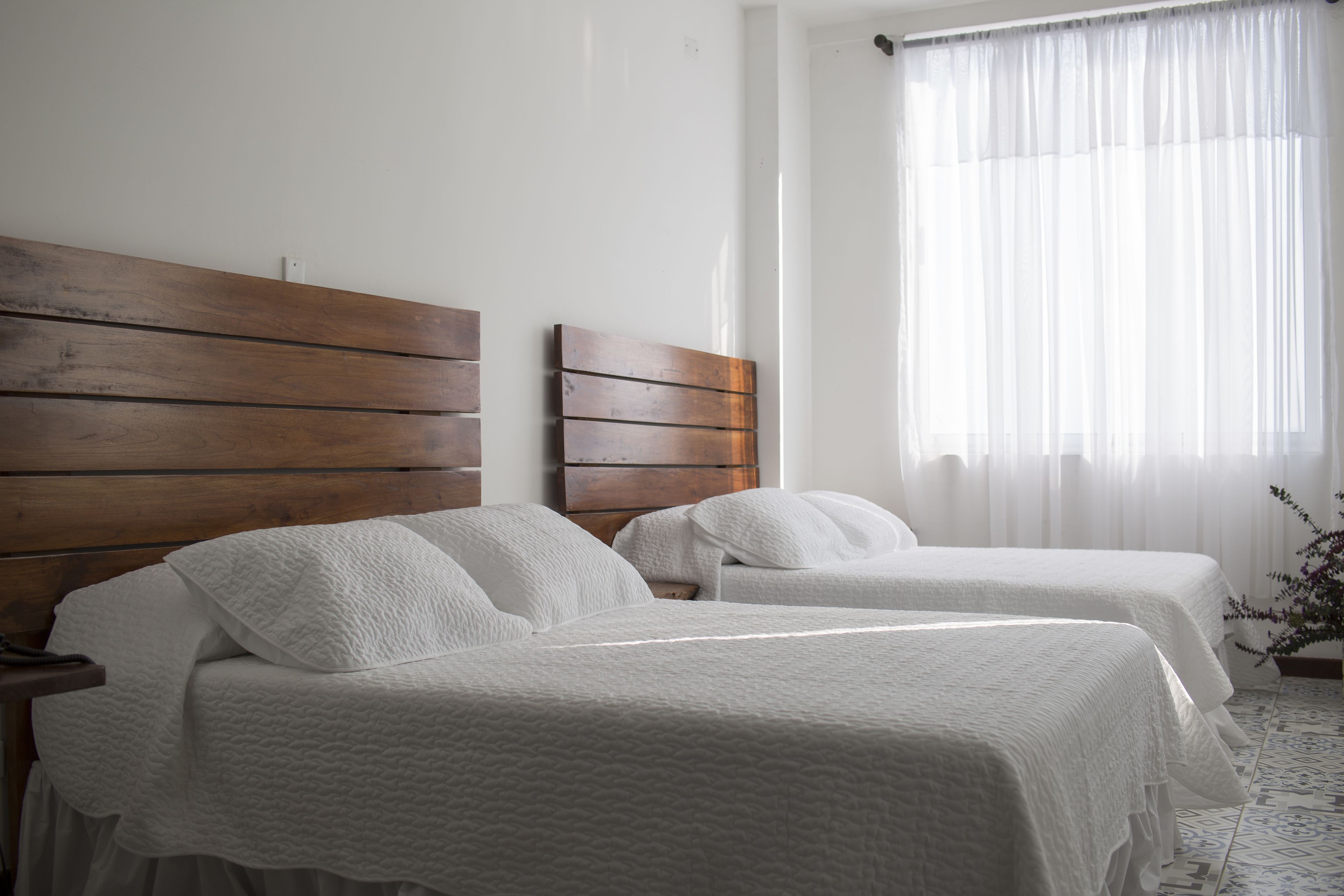 Foto - Hotel Terraza San Antonio