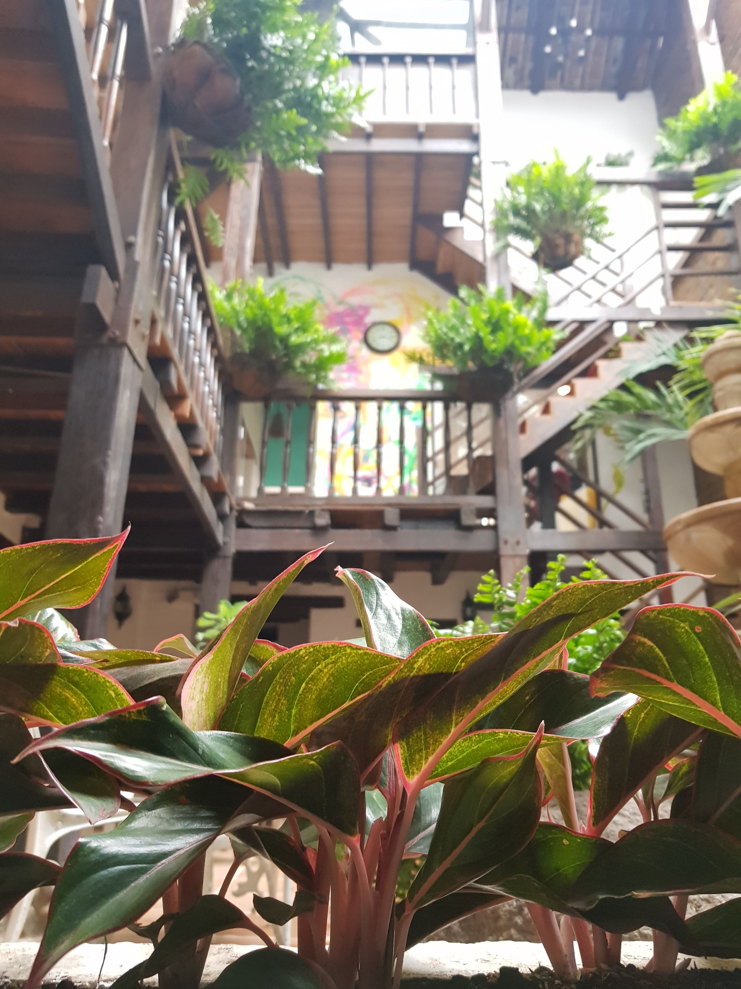 Foto - Hotel Terraza San Antonio