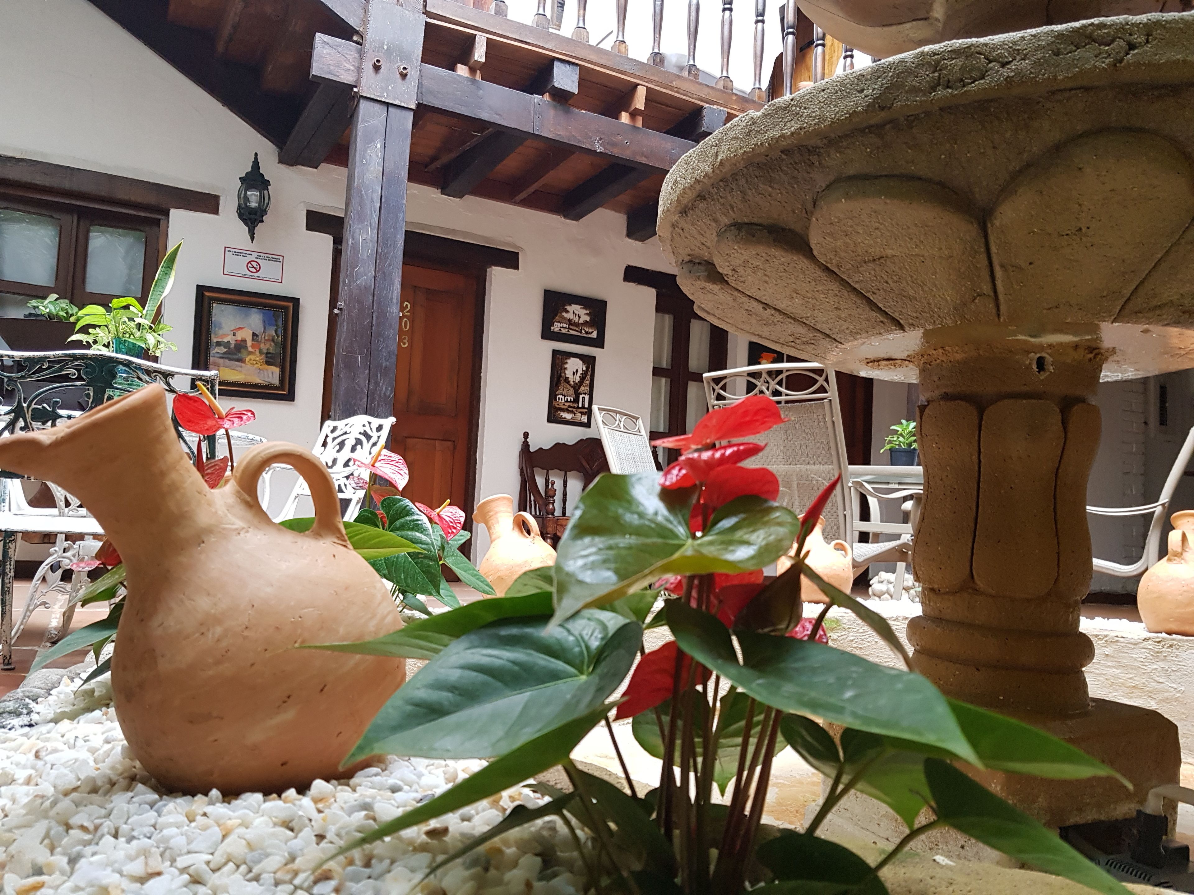 Foto - Hotel Terraza San Antonio