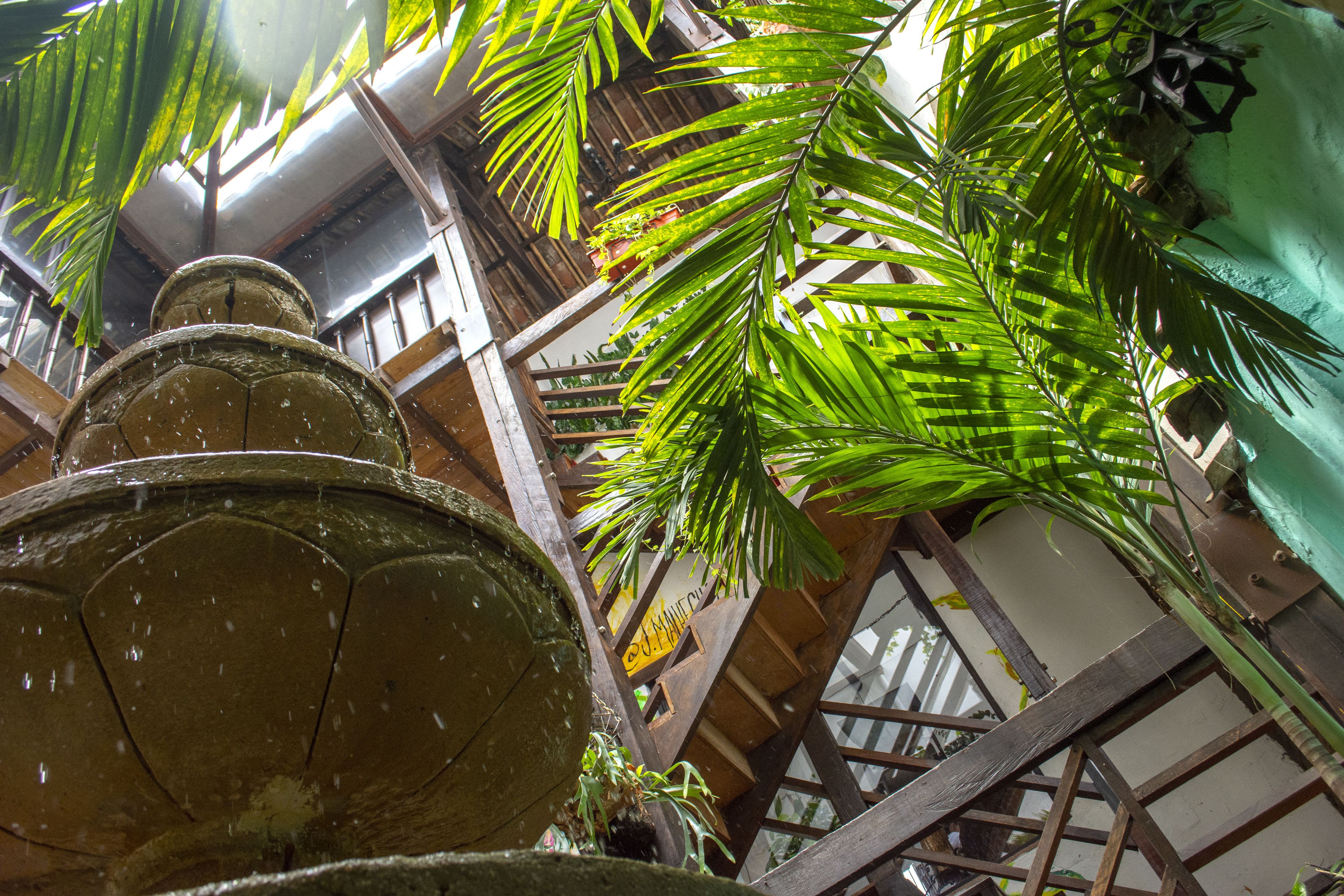 Foto - Hotel Terraza San Antonio