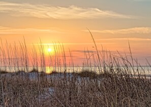 A beach with tall grasses in the foreground and a sunset in the background. - PALMETTO DUNES MINS TO BEACH LG POOL ON ROBERT TRENT JONES GLF CRSE SLEEPS 23 (Hilton Head Island)