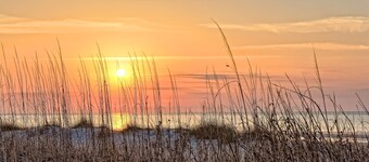 MINUTOS DE PLAYA GRANDE PISCINA GRANDE EN ROBERT TRENT JONES CAMPO DE GOLF