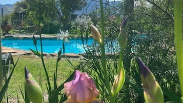 Udendørs pool