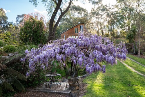 Glasshouse with log fire | pool | spa | near Bright | walk to shops restaurants 