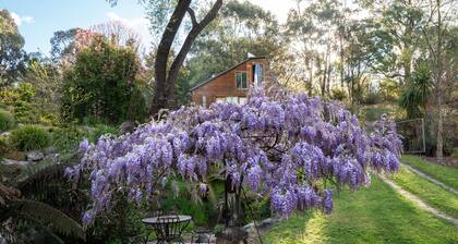 Glasshouse with log fire | pool | spa | near Bright | walk to shops restaurants