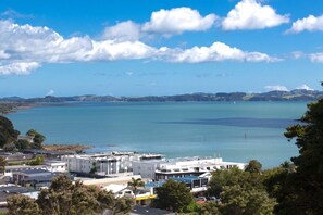 Aerial view - Sunny Spacious Seaview stunner (Paihia)
