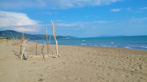 Una spiaggia con legni alla deriva, cieli sereni e montagne in lontananza.