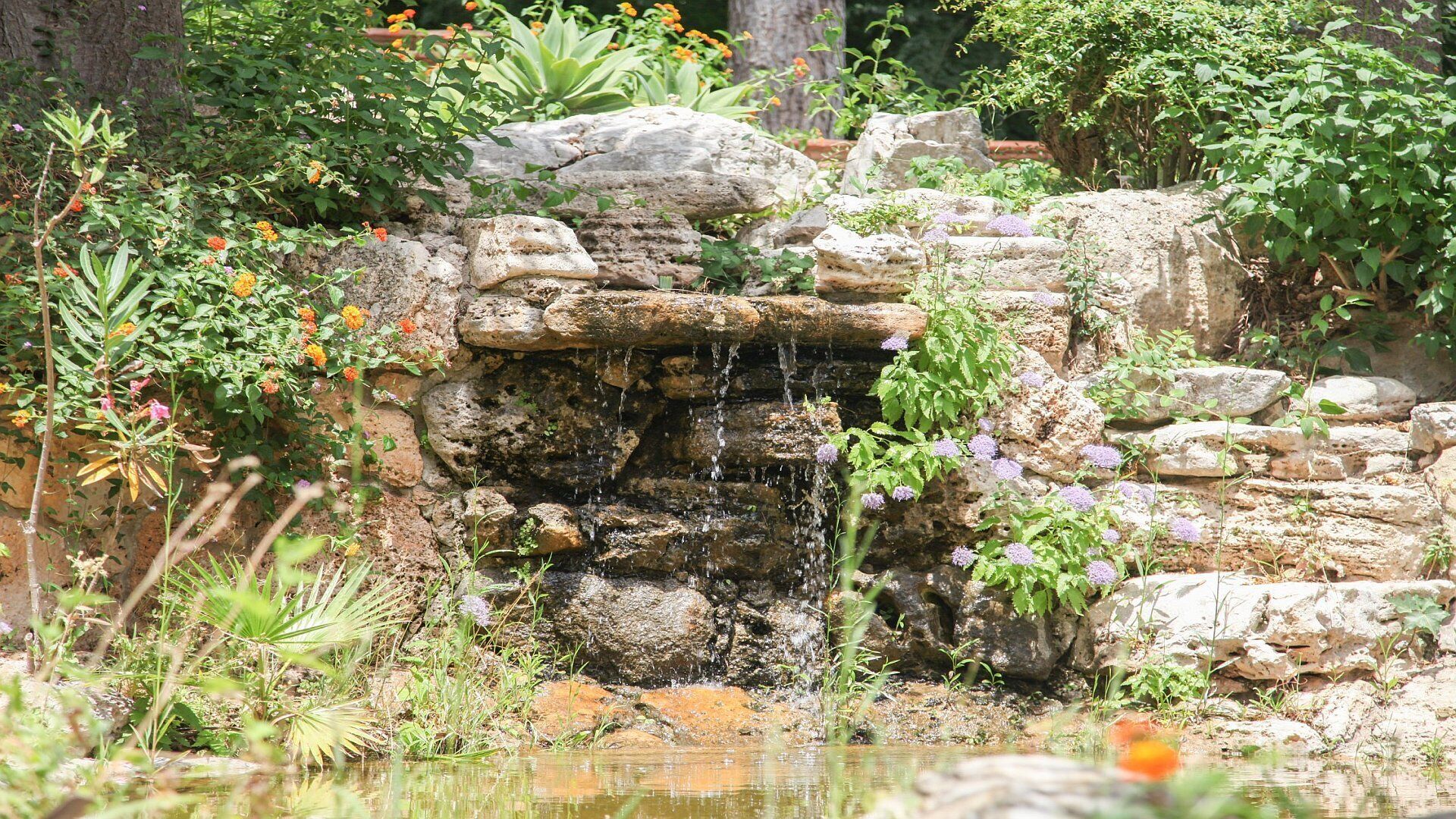 A natural rock formation with a small waterfall, surrounded by various plants and flowers.
