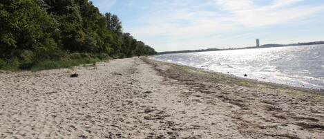 بالقرب من الشاطئ، كراسي للتشمس