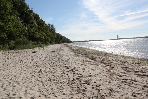 Beach nearby, sun-loungers